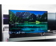 LG OLED55A13LA - 635945 - zdjęcie 6